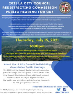 Redistricting Hearing